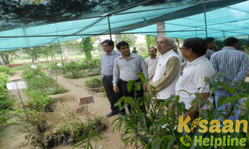 Krishi Vigyan Kendra, Sardar Shahar, Churu