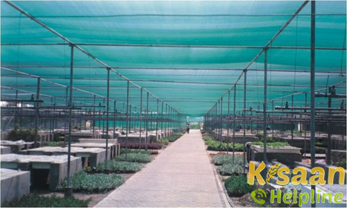 Organic Farming | Gramin Vikas Trust (GVT) Organic Farming | Gramin Vikas Trust (GVT)