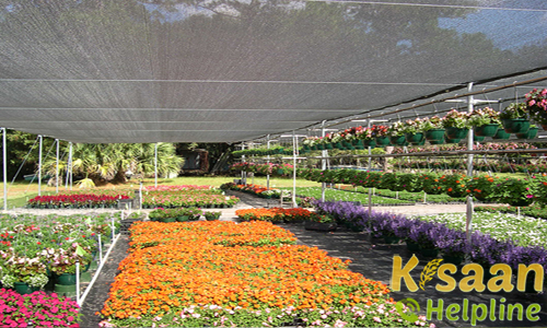 Production Of Planting Material | Agriculture Spots