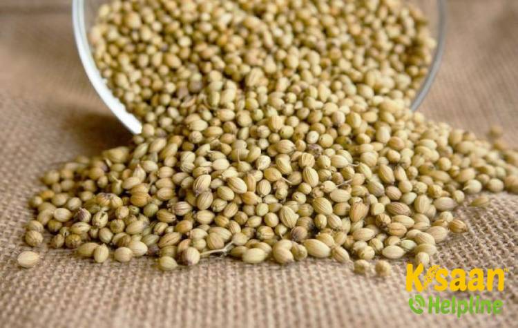 CO - 2 (सीओ - 2)