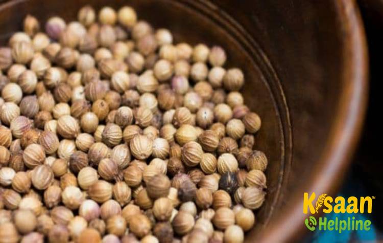 CO - 3 (सीओ - 3)