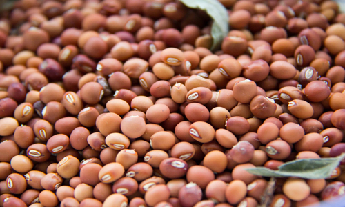 एम.ए-3 (मालवीय, 1999)