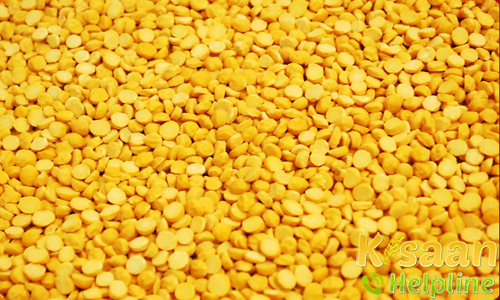 ग्वालियर-3 (1980) 