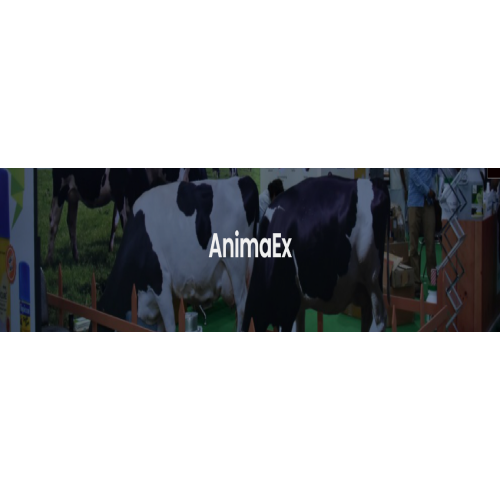 AnimaEx AnimaEx