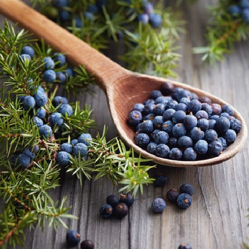 Juniper Berry