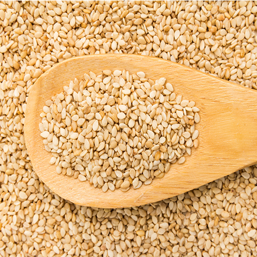 Sesame seed