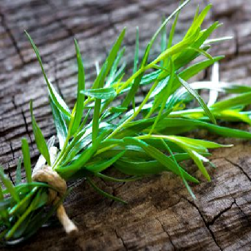 Tarragon