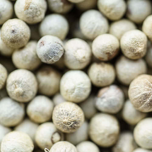 White Peppercorns