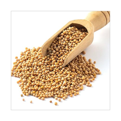 yellow Mustard seeds