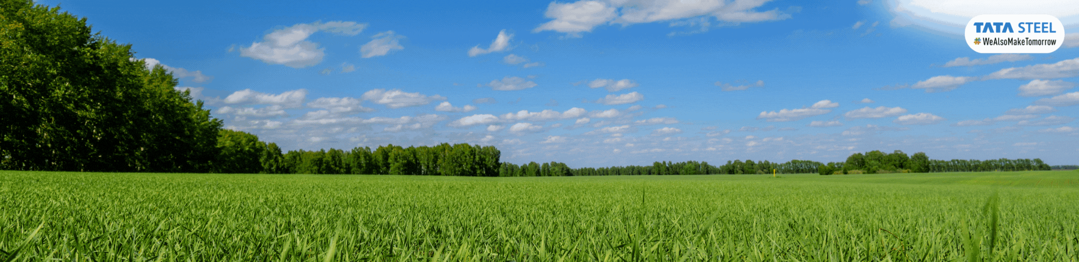 News Top banner full(1)