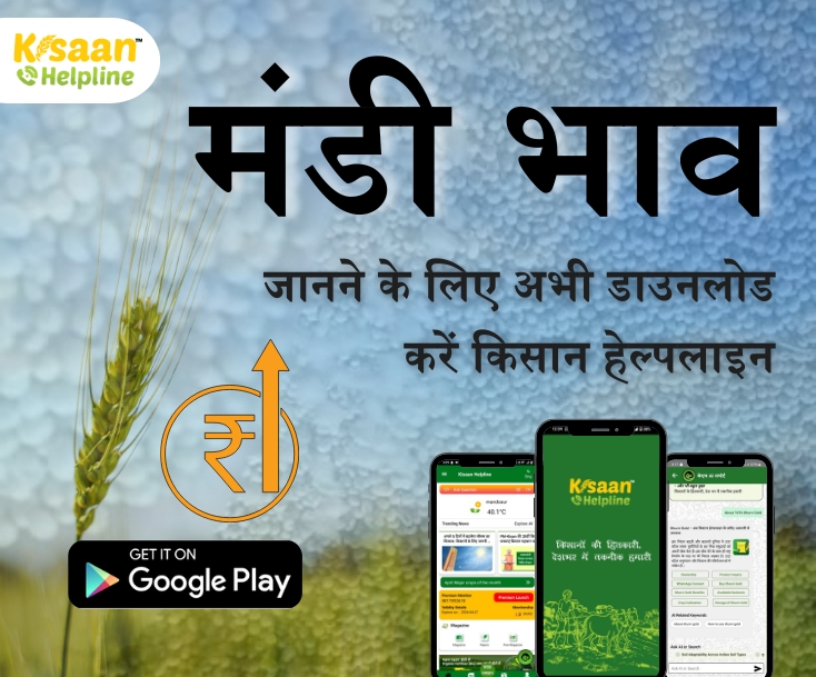 News bottom banner 1(1*4)