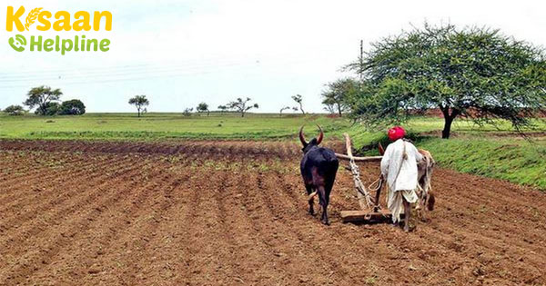 फाइनेंस मिनिस्टर ने कृषि ऋण NPA के मानदंडों को शामिल करने के लिए RBI को लिखा पत्र फाइनेंस मिनिस्टर ने कृषि ऋण NPA के मानदंडों को शामिल करने के लिए RBI को लिखा पत्र