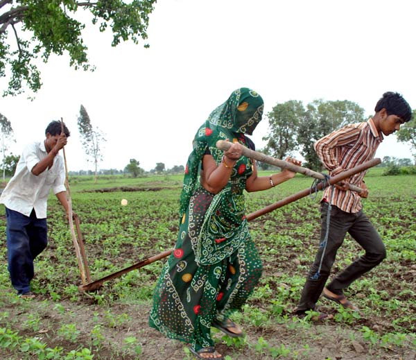 12वीं में पढ़ने वाला बेटा बैल बनकर खींच रहा हल, मां घूंघट में भी देती है साथ 12वीं में पढ़ने वाला बेटा बैल बनकर खींच रहा हल, मां घूंघट में भी देती है साथ
