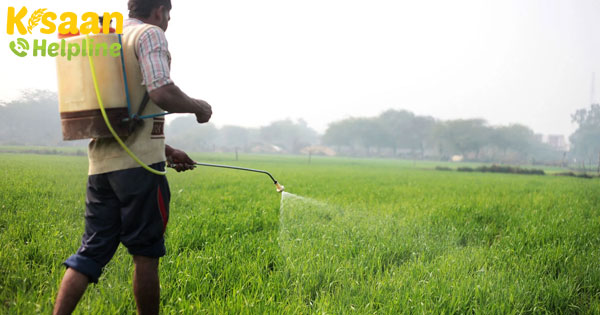 फसलों पर महत्वपूर्ण मानव एंटीबायोटिक दवाओं का खतरनाक उपयोग फसलों पर महत्वपूर्ण मानव एंटीबायोटिक दवाओं का खतरनाक उपयोग