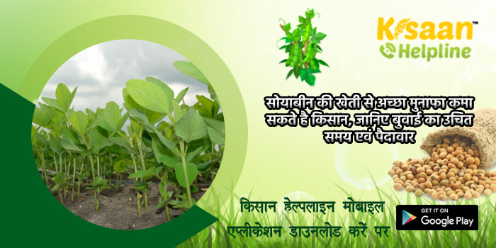 सोयाबीन की खेती से अच्छा मुनाफा कमा सकते है किसान, जानिए बुवाई का उचित समय एवं पैदावार