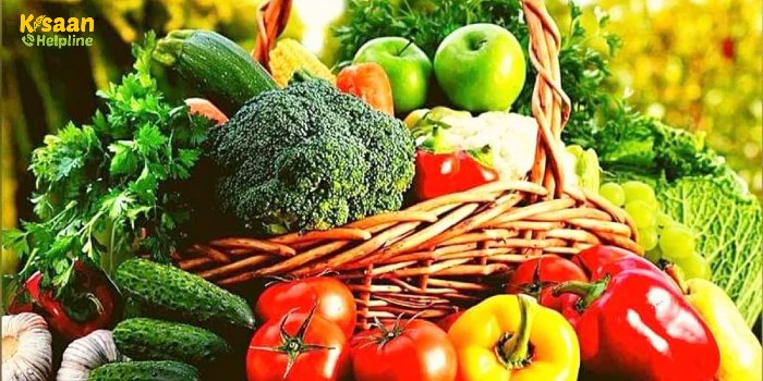 बरसात के मौसम में बंपर मुनाफा देंगी ये सब्जियां, तो जरूर करें इस मौसम में इन सब्जियों की खेती बरसात के मौसम में बंपर मुनाफा देंगी ये सब्जियां, तो जरूर करें इस मौसम में इन सब्जियों की खेती