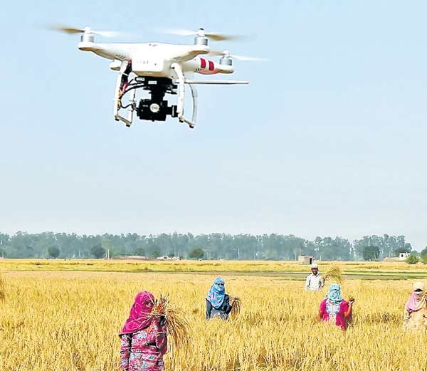 एक्सपर्ट्स के ऐसे सुझाव जो गांव की तस्वीर बदलेंगे एक्सपर्ट्स के ऐसे सुझाव जो गांव की तस्वीर बदलेंगे