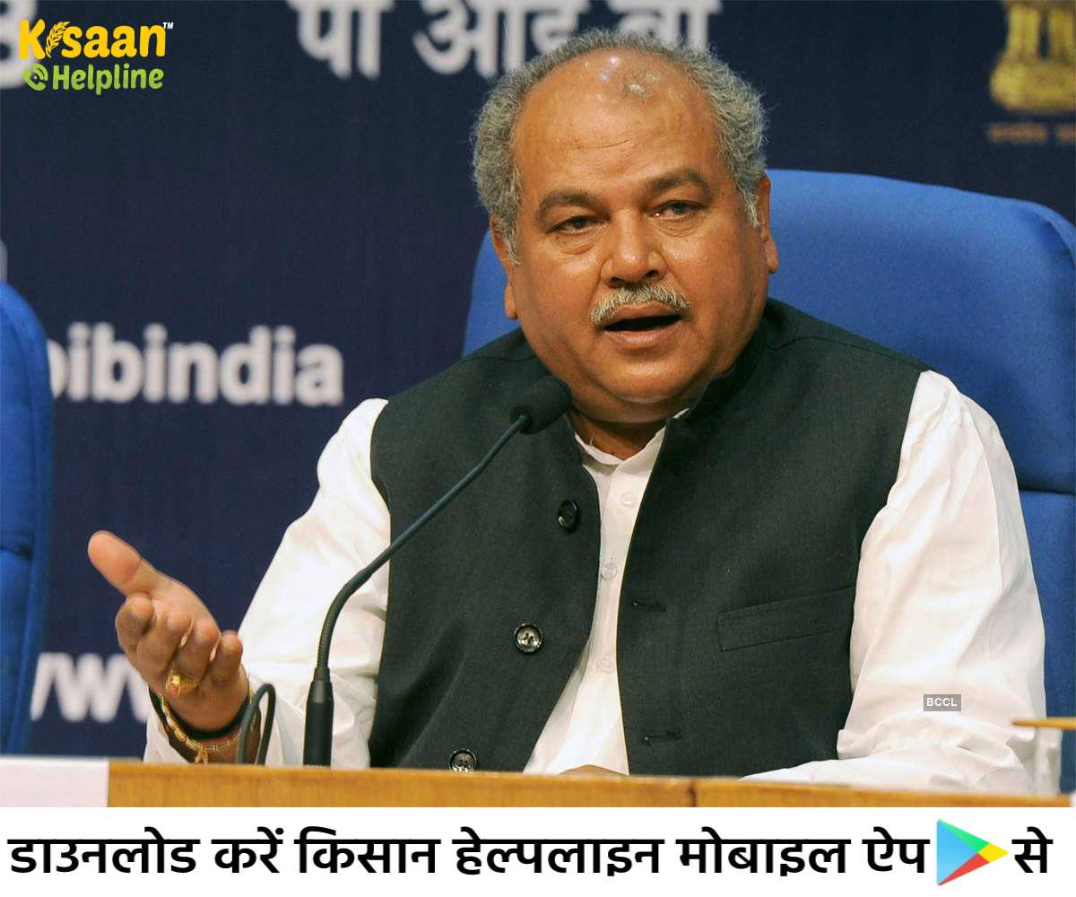 वर्ष 2014 की तुलना में एमएसपी (MSP) की खरीद दोगुनी हुई: कृषि मंत्री तोमर वर्ष 2014 की तुलना में एमएसपी (MSP) की खरीद दोगुनी हुई: कृषि मंत्री तोमर