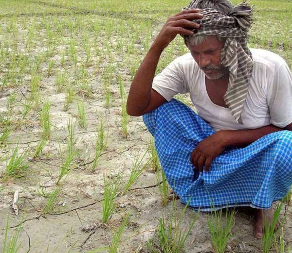 नववर्ष समारोह से सूखा पीड़ित किसानों की मदद बिजनेसमैन करेंगे मदद नववर्ष समारोह से सूखा पीड़ित किसानों की मदद बिजनेसमैन करेंगे मदद