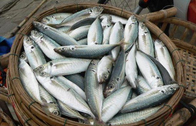 16 तालाबों में मछली पालन कर इस किसान ने बनाई अलग पहचान 16 तालाबों में मछली पालन कर इस किसान ने बनाई अलग पहचान