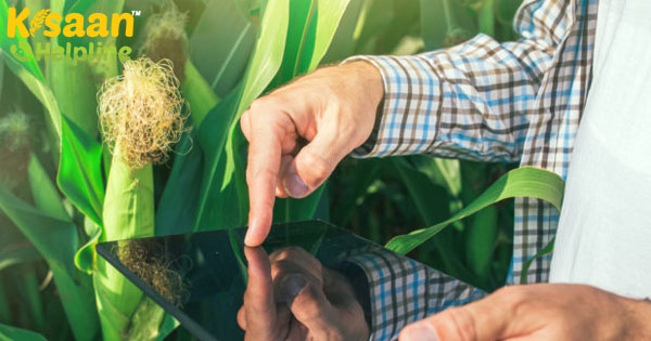 सटीक तकनीक: कृषि आय का बेहतर भविष्य सटीक तकनीक: कृषि आय का बेहतर भविष्य