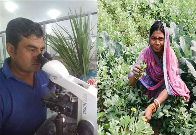 यहां बीमार पोधो का होता है उपचार, प्लांट क्लिनिक के डॉक्टर पौधों की नब्ज टटोल रहे यहां बीमार पोधो का होता है उपचार, प्लांट क्लिनिक के डॉक्टर पौधों की नब्ज टटोल रहे