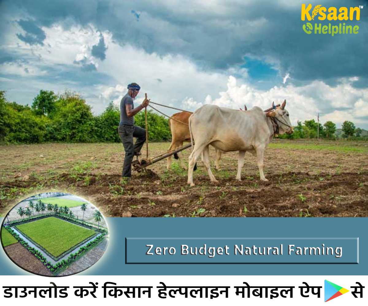आइये जानते है जीरो बजट खेती क्या है और इसके लिए प्रधानमंत्री नरेंद्र मोदी ने क्यों किया इसका ज़िक्र? आइये जानते है जीरो बजट खेती क्या है और इसके लिए प्रधानमंत्री नरेंद्र मोदी ने क्यों किया इसका ज़िक्र?