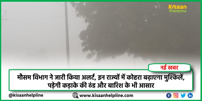मौसम विभाग ने जारी किया अलर्ट, इन राज्यों में कोहरा बढ़ाएगा मुश्किलें, पड़ेगी कड़ाके की ठंड और बारिश के भी आसार मौसम विभाग ने जारी किया अलर्ट, इन राज्यों में कोहरा बढ़ाएगा मुश्किलें, पड़ेगी कड़ाके की ठंड और बारिश के भी आसार