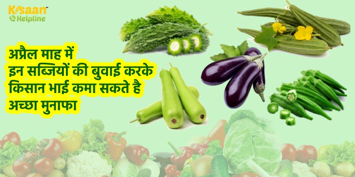 अप्रैल माह में इन सब्जियों की बुवाई करके किसान भाई कमा सकते है अच्छा मुनाफा