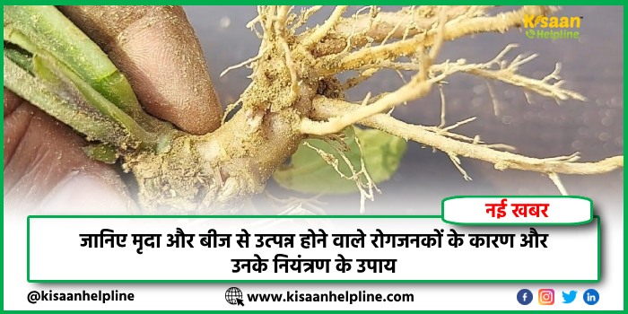 जानिए मृदा और बीज से उत्पन्न होने वाले रोगजनकों के कारण और उनके नियंत्रण के उपाय जानिए मृदा और बीज से उत्पन्न होने वाले रोगजनकों के कारण और उनके नियंत्रण के उपाय