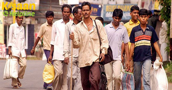 कई कृषि जिलों में कृषि मजदूरी दोगुनी हो गई क्योंकि प्रवासी मजदूर घर लोटे कई कृषि जिलों में कृषि मजदूरी दोगुनी हो गई क्योंकि प्रवासी मजदूर घर लोटे