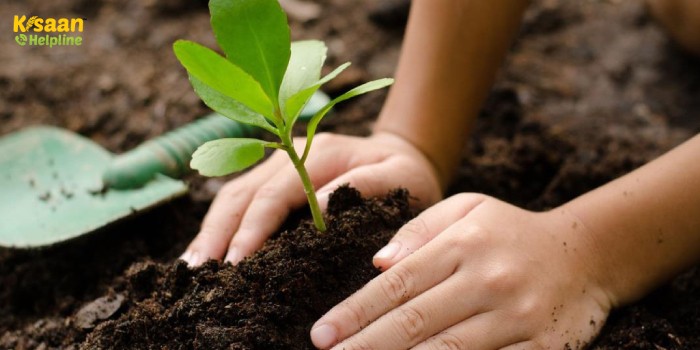 सफलता की कहानी : "जैविक मैन" नाम से मशहूर बिहार का ये किसान, गाय के गोबर से तैयार जैविक खाद से कर लेते है इतनी कमाई सफलता की कहानी : "जैविक मैन" नाम से मशहूर बिहार का ये किसान, गाय के गोबर से तैयार जैविक खाद से कर लेते है इतनी कमाई