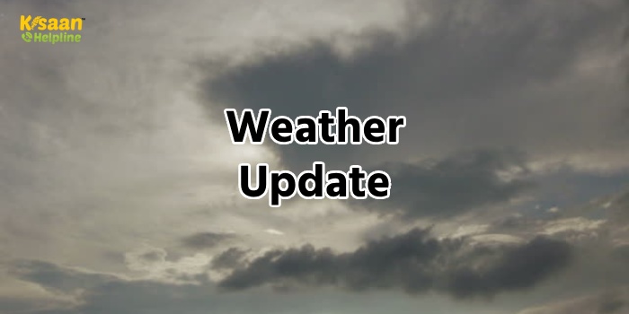 मौसम विभाग की चेतावनी, अगले पांच दिनों तक होगी भारी बारिश इन राज्यों में, जानें मौसम का नया अपडेट मौसम विभाग की चेतावनी, अगले पांच दिनों तक होगी भारी बारिश इन राज्यों में, जानें मौसम का नया अपडेट