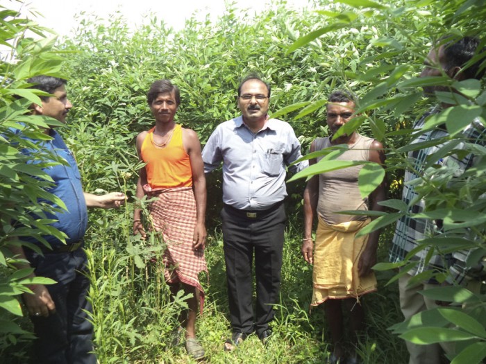 किसान फसलों में कीट प्रबंधन करें किसान फसलों में कीट प्रबंधन करें