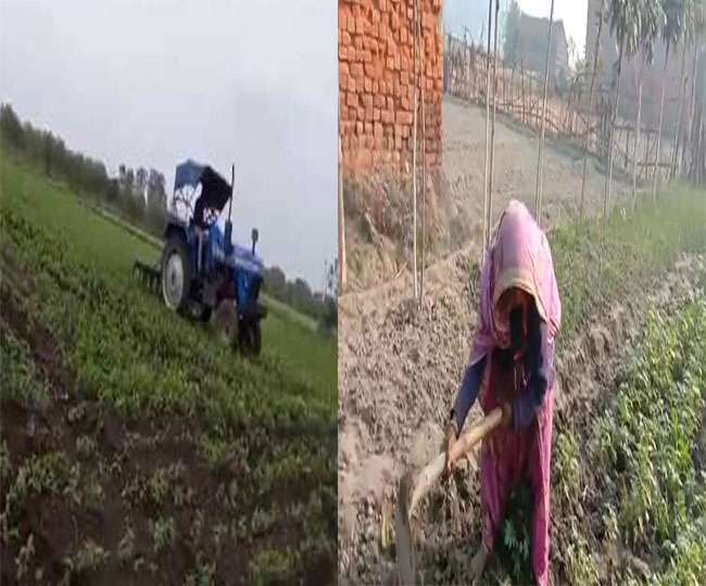 कहते हैं ना, मन में कुछ कर गुजरने की दृढ़ इच्छा शक्ति हो तो मुश्किल काम भी आसान हो जाते कहते हैं ना, मन में कुछ कर गुजरने की दृढ़ इच्छा शक्ति हो तो मुश्किल काम भी आसान हो जाते