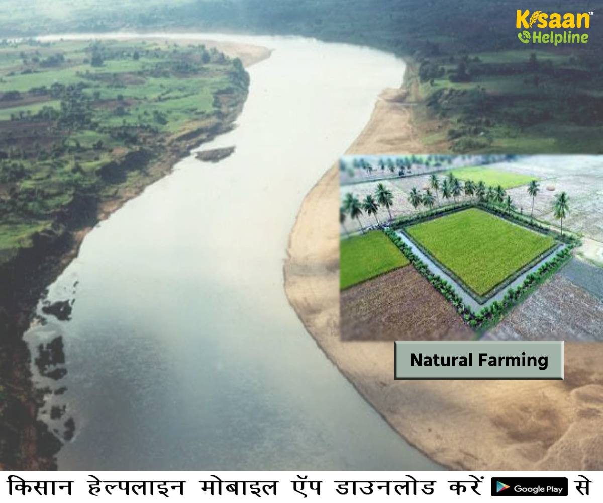 मप्र सरकार द्वारा नर्मदा नदी के किनारे की जाएगी जैविक खेती मप्र सरकार द्वारा नर्मदा नदी के किनारे की जाएगी जैविक खेती