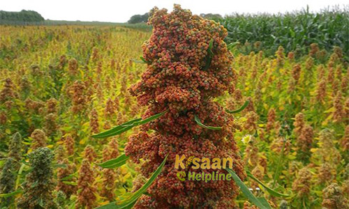 Big Project' for the PM Big Project' for the PM