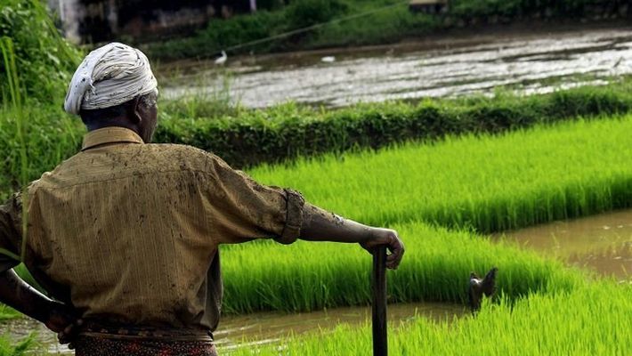 किसानों को राहत मिलेगी, कोरोना के इस संकट के समय में किसानों को राहत मिलेगी, कोरोना के इस संकट के समय में