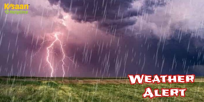 फिर बदलने जा रहा मौसम का मिजाज, जानिए मौसम विभाग का अलर्ट फिर बदलने जा रहा मौसम का मिजाज, जानिए मौसम विभाग का अलर्ट