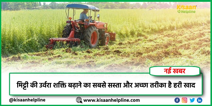 मिट्टी की उर्वरा शक्ति बढ़ाने का सबसे सस्ता और अच्छा तरीका है हरी खाद मिट्टी की उर्वरा शक्ति बढ़ाने का सबसे सस्ता और अच्छा तरीका है हरी खाद