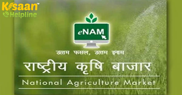 ईएनएएम में 200 और मंडियां जोड़ी गईं, जानिए Enam क्या है ईएनएएम में 200 और मंडियां जोड़ी गईं, जानिए Enam क्या है