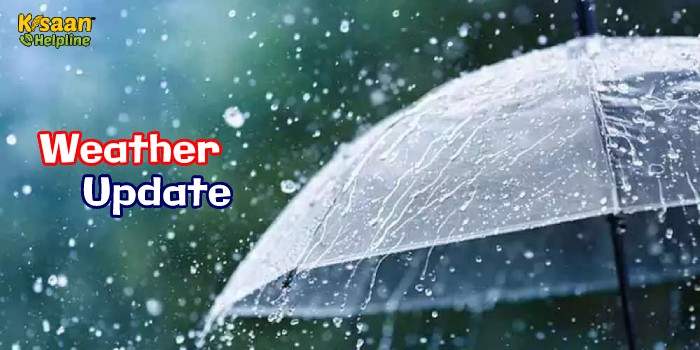 मौसम विभाग की बड़ी चेतावनी, कई राज्यों में फिर बदलेगा मौसम, जानिए अपने शहर में मौसम का हाल मौसम विभाग की बड़ी चेतावनी, कई राज्यों में फिर बदलेगा मौसम, जानिए अपने शहर में मौसम का हाल