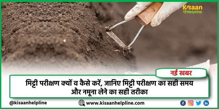 मिट्टी परीक्षण क्यों व कैसे करें, जानिए मिट्टी परीक्षण का सही समय और नमूना लेने का सही तरीका मिट्टी परीक्षण क्यों व कैसे करें, जानिए मिट्टी परीक्षण का सही समय और नमूना लेने का सही तरीका