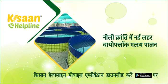 नीली क्रांति में नई लहर : बायोफ्लॉक मत्स्य पालन नीली क्रांति में नई लहर : बायोफ्लॉक मत्स्य पालन
