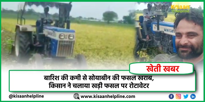 बारिश की कमी से सोयाबीन की फसल खराब, किसान ने चलाया खड़ी फसल पर रोटावेटर बारिश की कमी से सोयाबीन की फसल खराब, किसान ने चलाया खड़ी फसल पर रोटावेटर