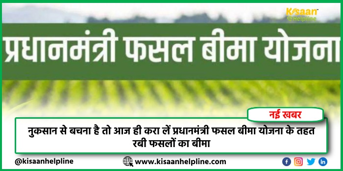PM Fasal Bima Yojana: नुकसान से बचना है तो आज ही करा लें प्रधानमंत्री फसल बीमा योजना के तहत रबी फसलों का बीमा PM Fasal Bima Yojana: नुकसान से बचना है तो आज ही करा लें प्रधानमंत्री फसल बीमा योजना के तहत रबी फसलों का बीमा