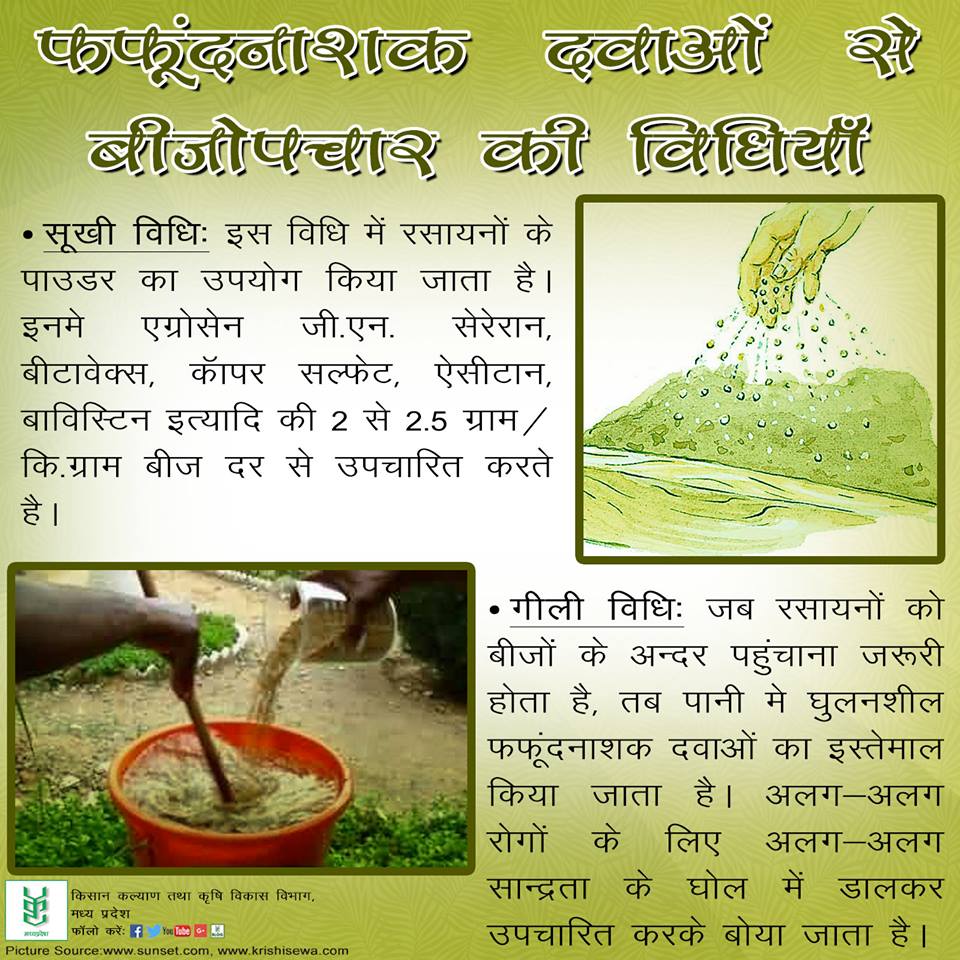 फफूंदनाशक दवाओं से बीजोपचार की विधियाँ