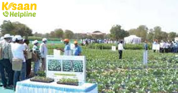 फार्म क्वीन संगोष्ठी कृषि में युवाओं के जुड़ाव को प्रोत्साहित करती है फार्म क्वीन संगोष्ठी कृषि में युवाओं के जुड़ाव को प्रोत्साहित करती है