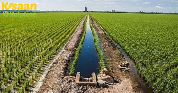 खेती की प्रगति के लिए प्रौद्योगिकी स्थायी कृषि की तलाश खेती की प्रगति के लिए प्रौद्योगिकी स्थायी कृषि की तलाश