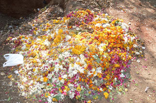 मंदिर के फूलों से बनेगी जैविक खाद, होगी फसल के लिए लाभदायक मंदिर के फूलों से बनेगी जैविक खाद, होगी फसल के लिए लाभदायक